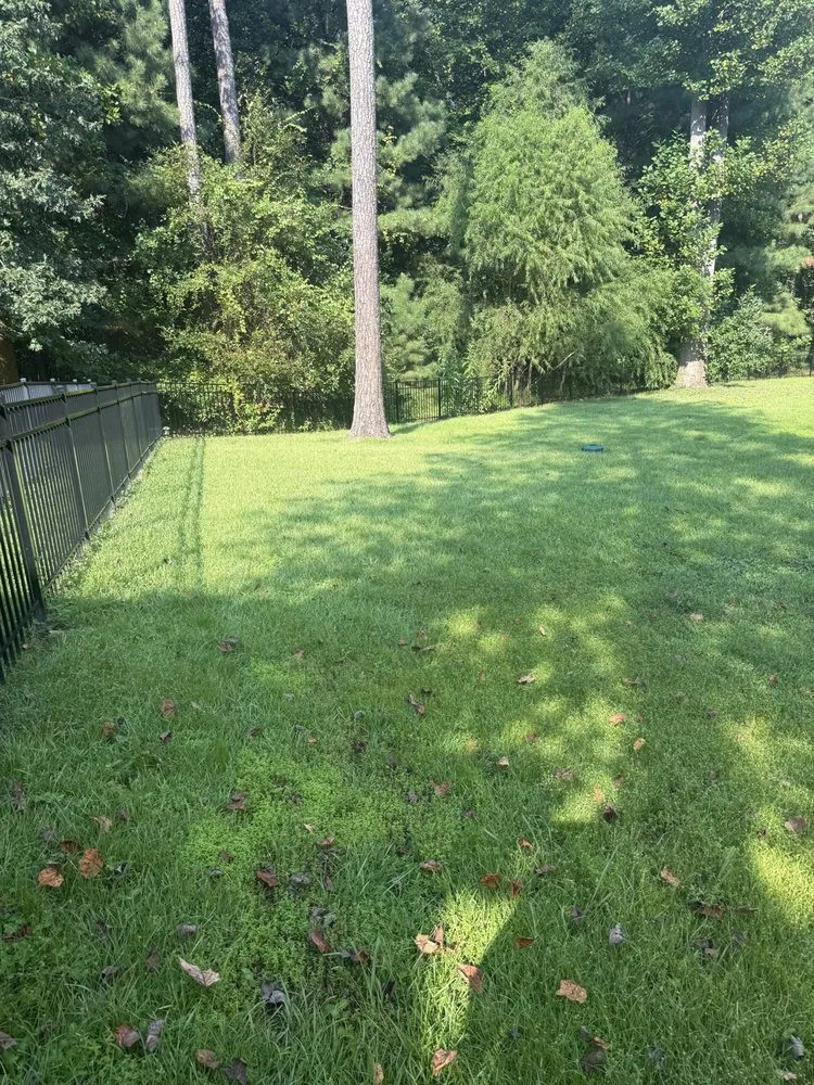 Custom lawn mowing service near you across Shannon, NC - Cut Above The Rest