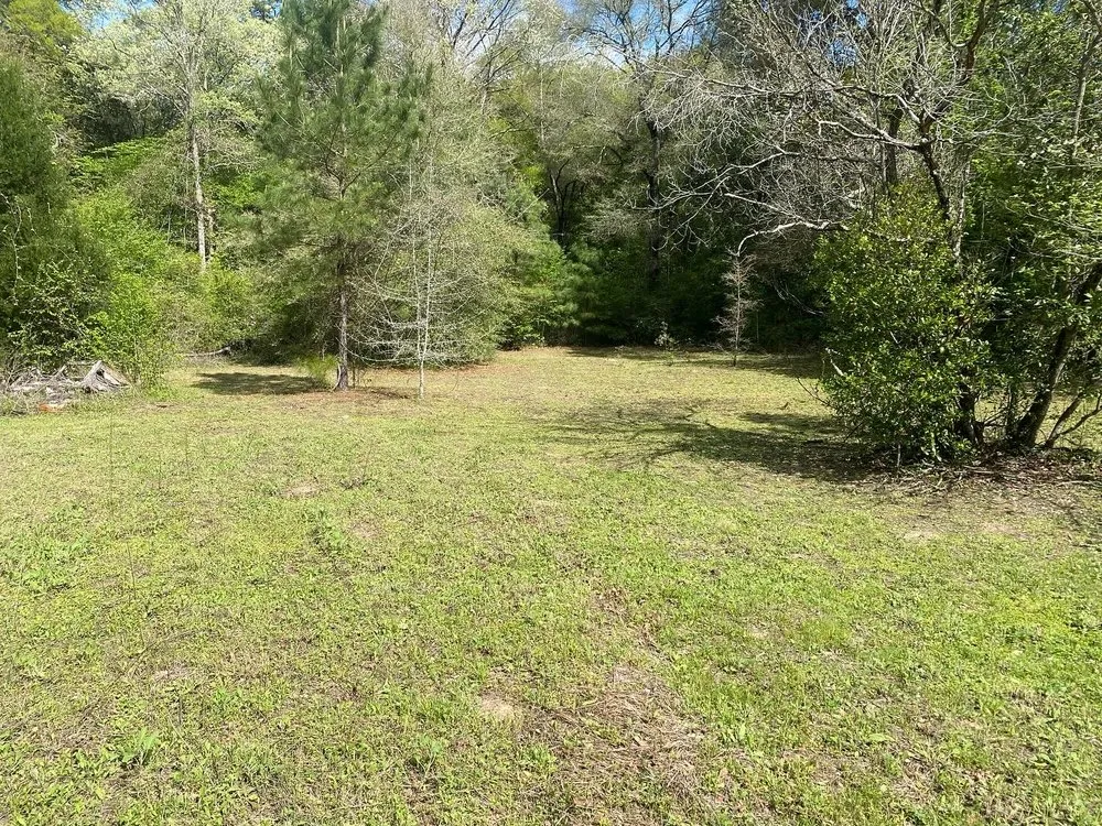 Trusted landscaping services in Shepherd, TX - Cut and Care Lawn Service