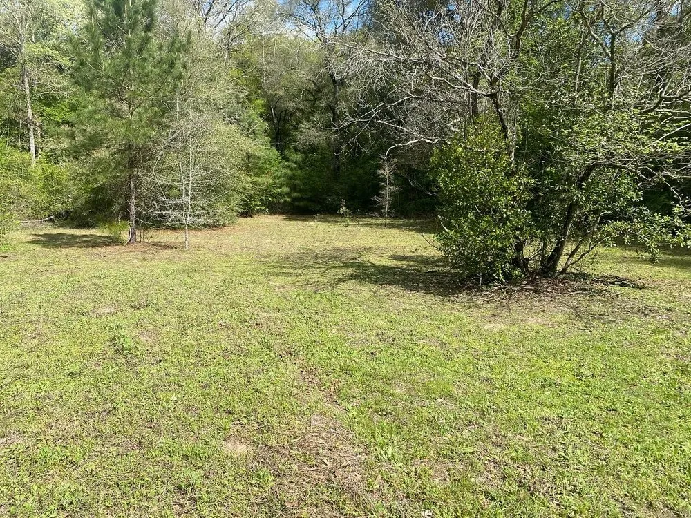 Professional lawn mowing service experts serving Shepherd, TX - Cut and Care Lawn Service