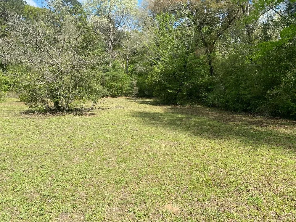 Expert landscape installation in Shepherd, TX by Cut and Care Lawn Service
