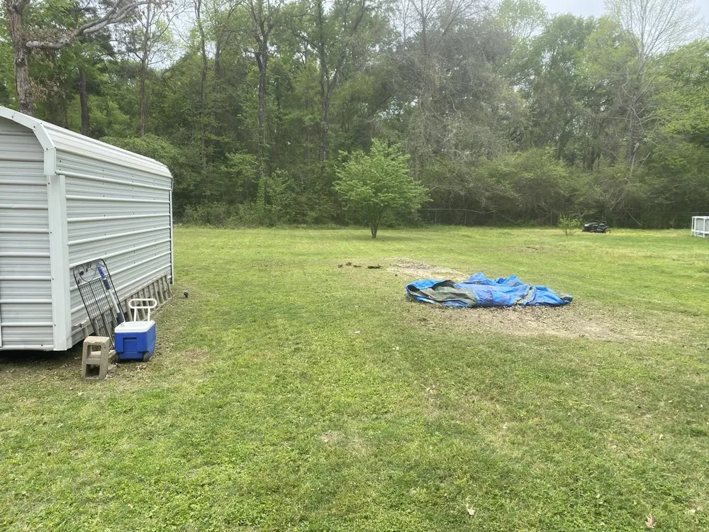 Reliable lawn mowing service in Shepherd, TX by Cut and Care Lawn Service