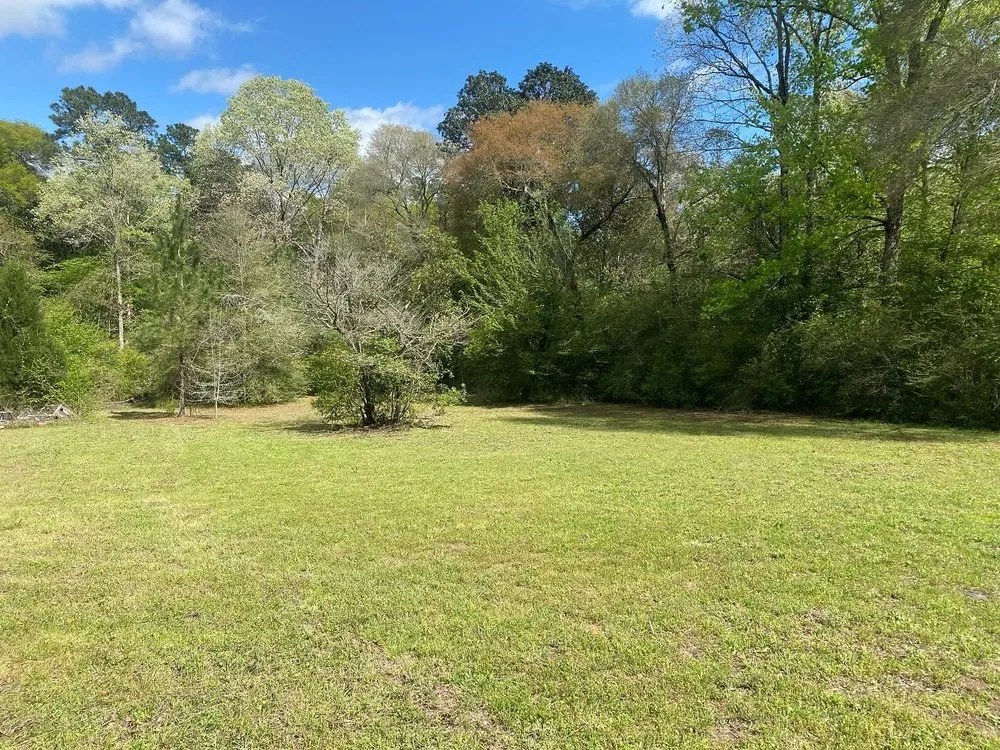 Affordable landscape design in Shepherd, TX - Cut and Care Lawn Service