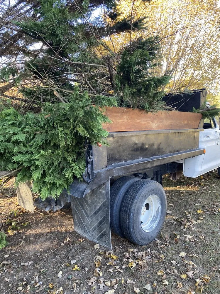 Affordable lawn care service with custom design across Dunlap, TN - Cut And Go Landscaping