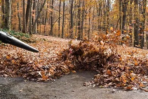 Professional residential landscaping for homes in Dunlap, TN by Cut And Go Landscaping