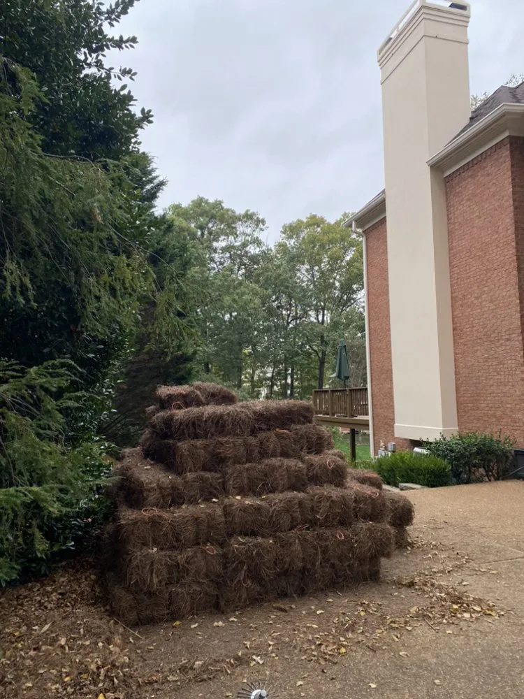 Local outdoor landscaping experts serving Dunlap, TN - Cut And Go Landscaping