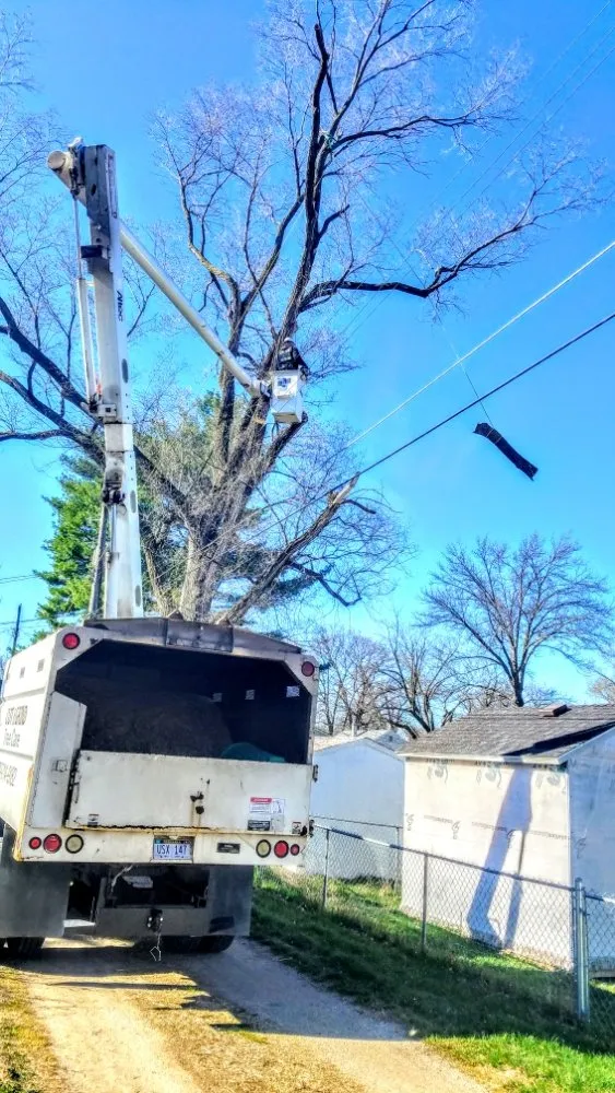 Local lawn care service in Omaha, NE - Cut and Grind Tree Care