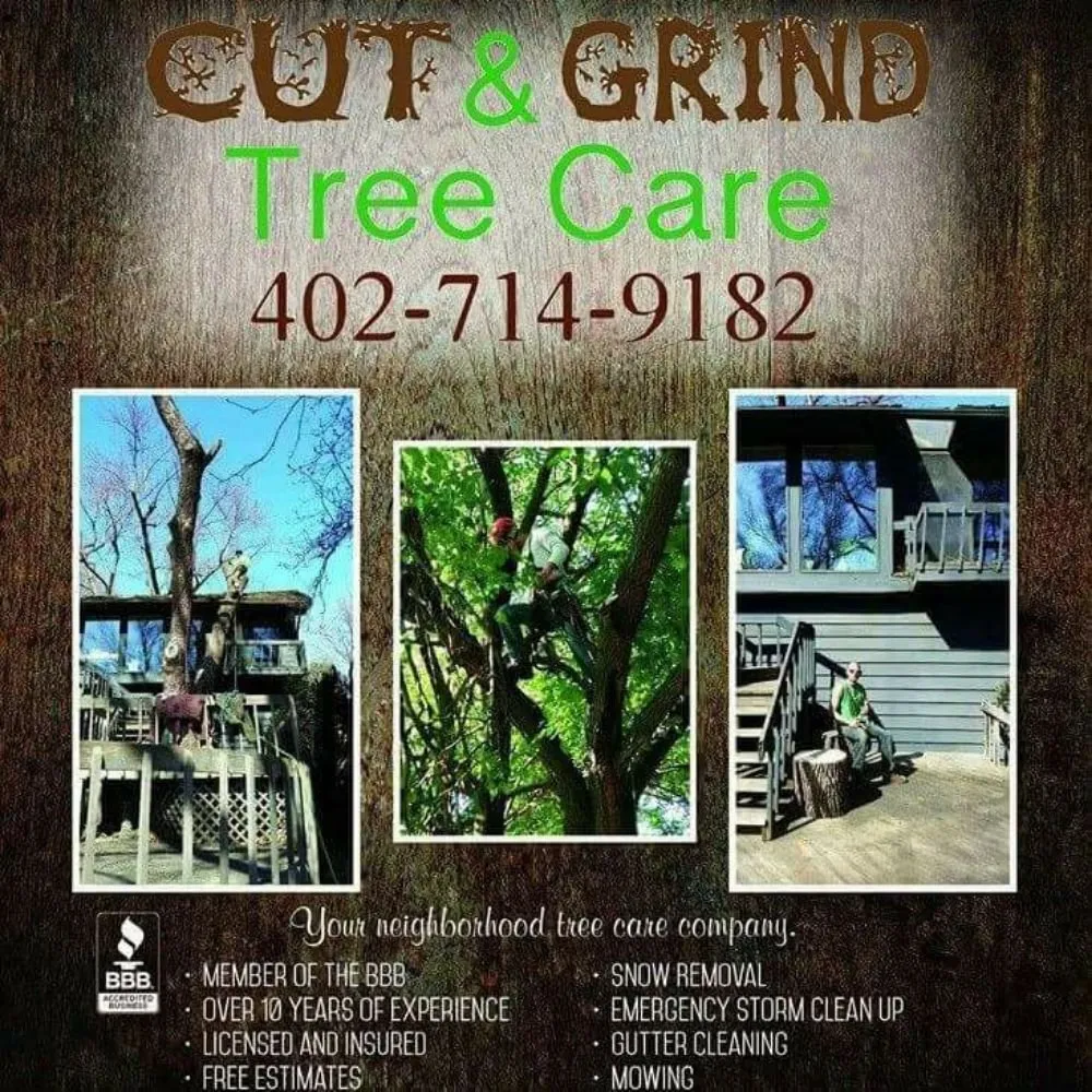 Top-rated yard maintenance in Omaha, NE - Cut and Grind Tree Care