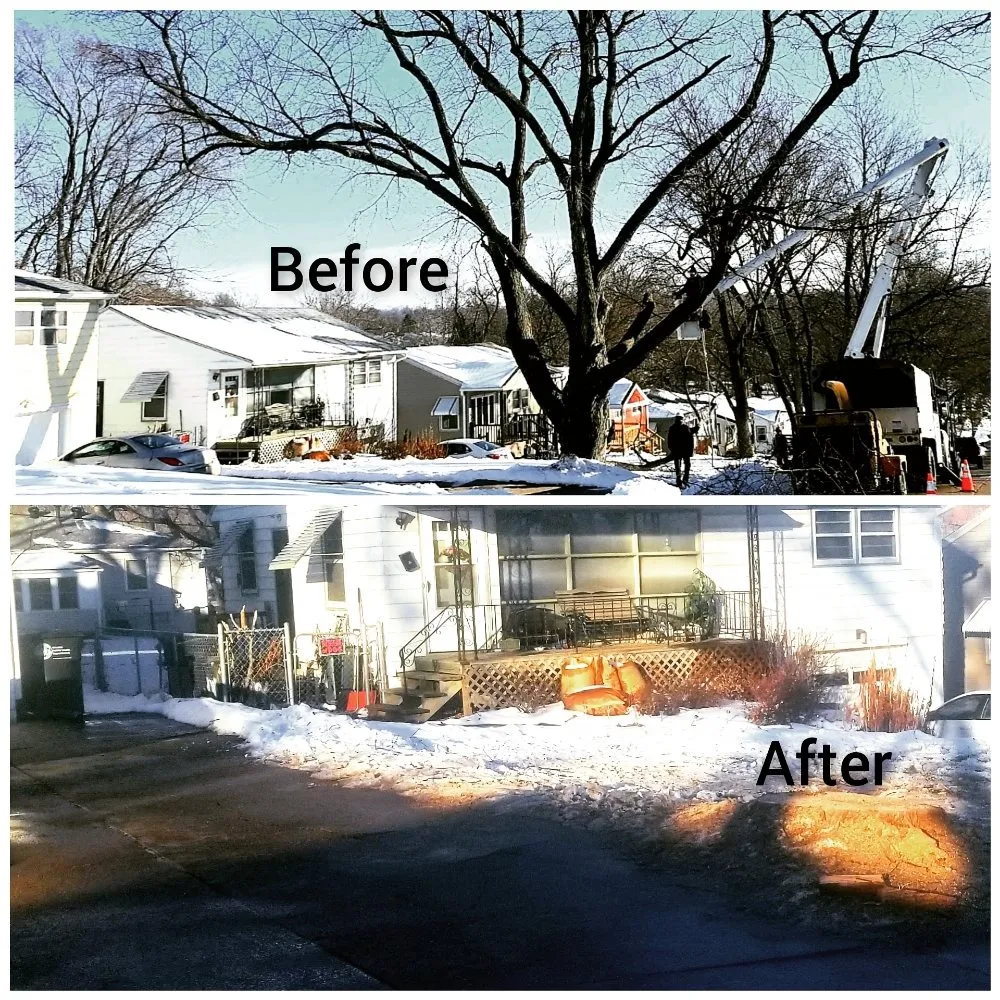 Affordable landscape design for year-round maintenance in Omaha, NE by Cut and Grind Tree Care