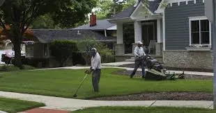 Affordable yard maintenance in Milwaukee, WI by Cut and Plow Services