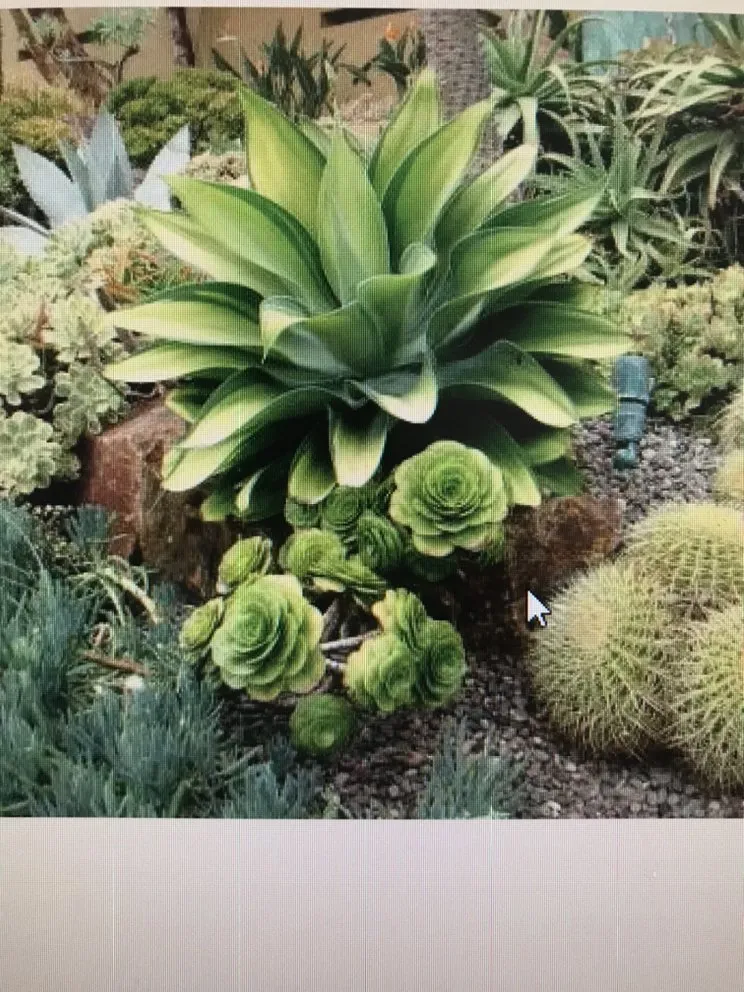 Affordable landscape installation in Milwaukee, WI by Cut and Plow Services