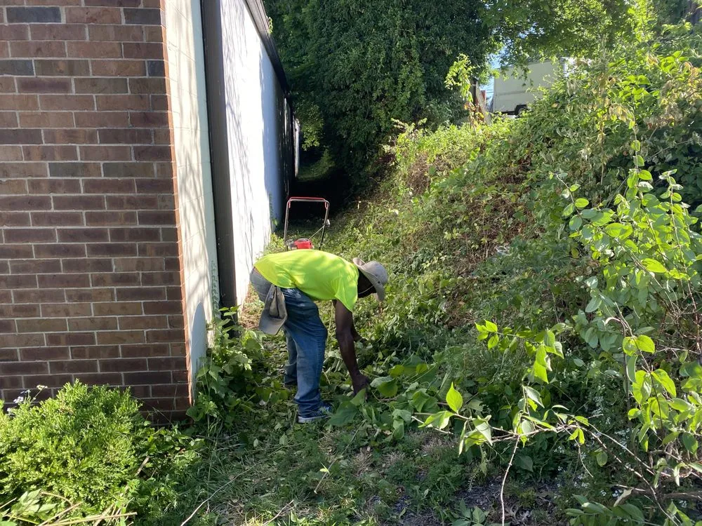 Reliable landscaping services for outdoor upgrades across St. Louis, MO - Cut and Trim Lawn Care Service