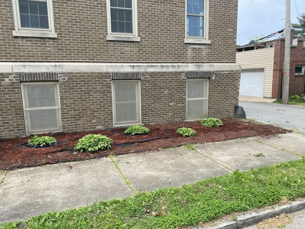 Local landscaping services for beautiful yards in St. Louis, MO by Cut and Trim Lawn Care Service