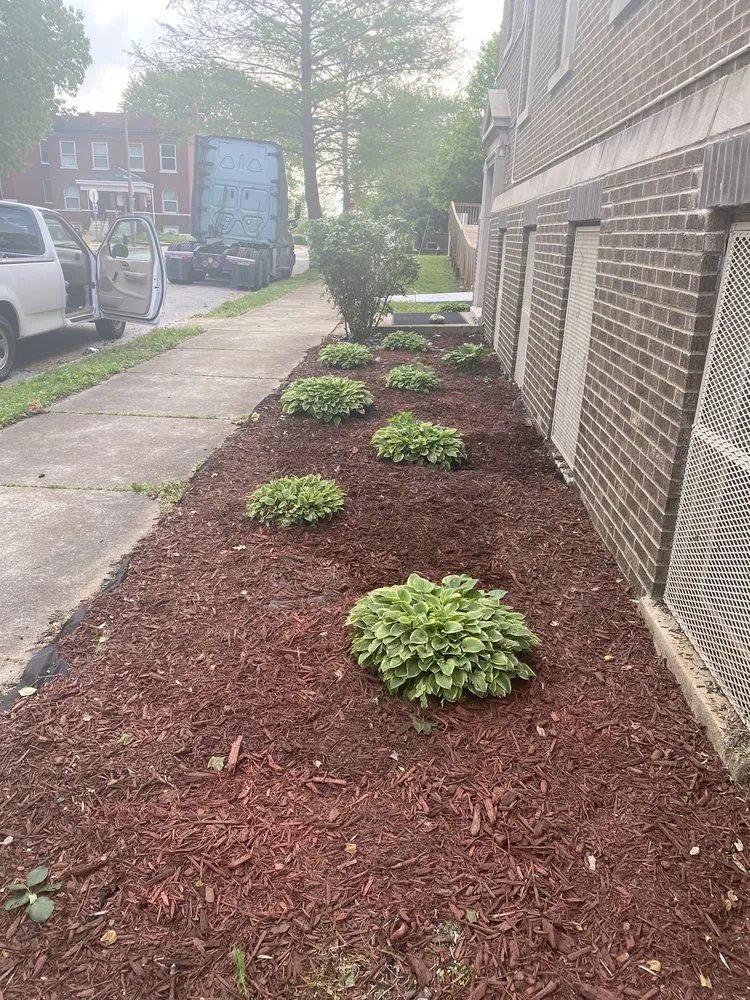 Local outdoor landscaping experts serving St. Louis, MO - Cut and Trim Lawn Care Service