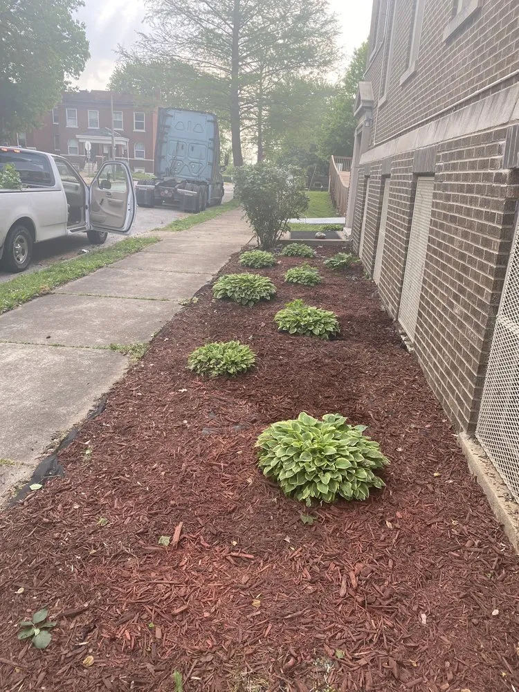 Expert outdoor landscaping in St. Louis, MO by Cut and Trim Lawn Care Service