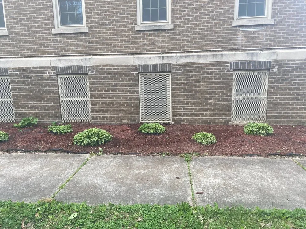 Local residential landscaping in St. Louis, MO by Cut and Trim Lawn Care Service