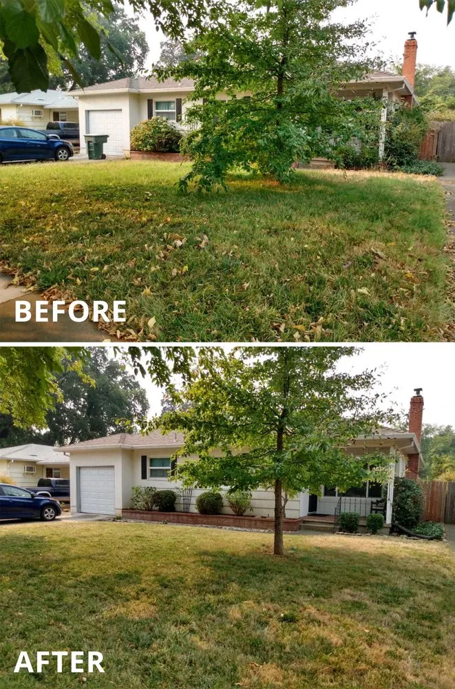 Trusted yard maintenance in Redding, CA - Cut And Trim Yard Service