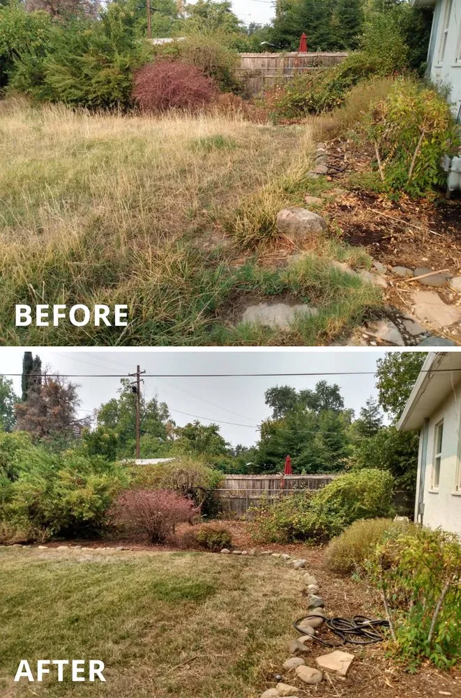 Local yard maintenance in Redding, CA by Cut And Trim Yard Service