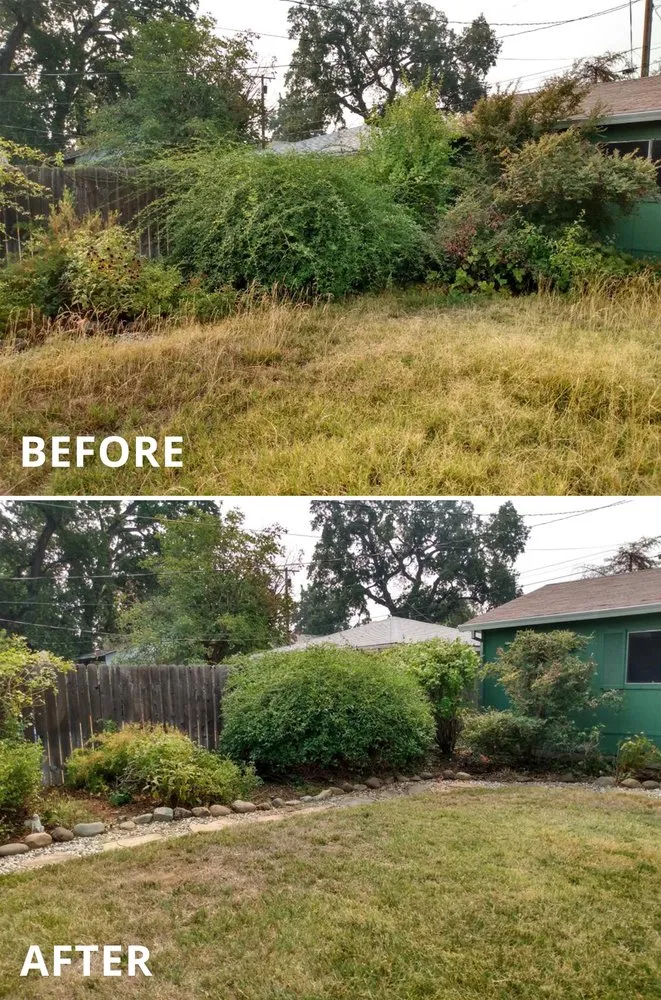 Trusted lawn care service in Redding, CA - Cut And Trim Yard Service
