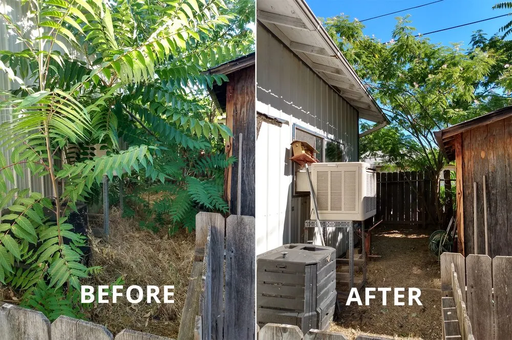 Expert residential landscaping in Redding, CA by Cut And Trim Yard Service