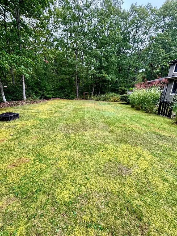 Professional yard cleanup service experts serving Dingmans Ferry, PA - Cut Away Lawn Care