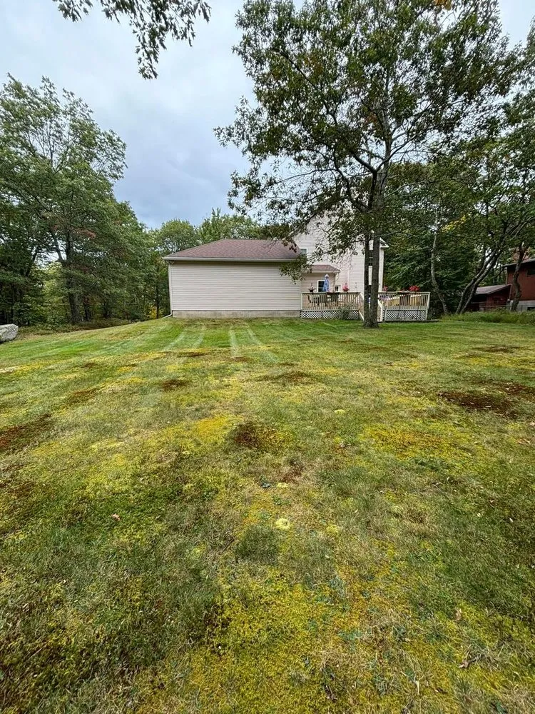 Local lawn care service experts serving Dingmans Ferry, PA - Cut Away Lawn Care