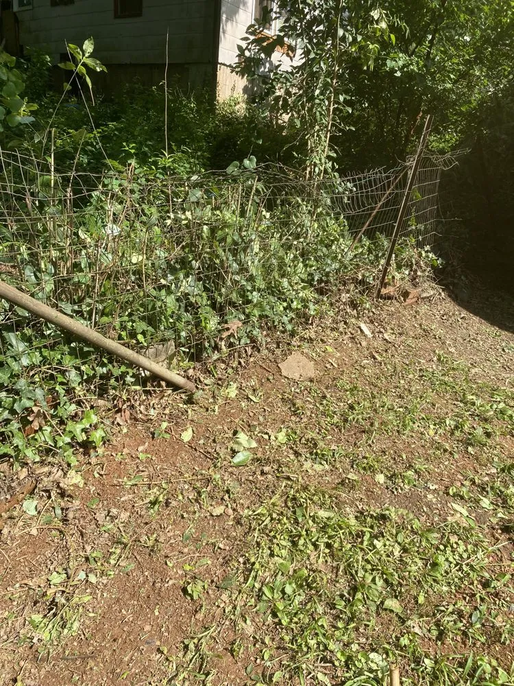 Trusted outdoor landscaping near you across Atlanta, GA - Cut Care Lawn and Tree Service