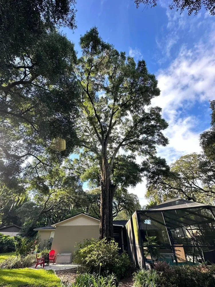 Professional landscape design in Atlanta, GA by Cut Care Lawn and Tree Service