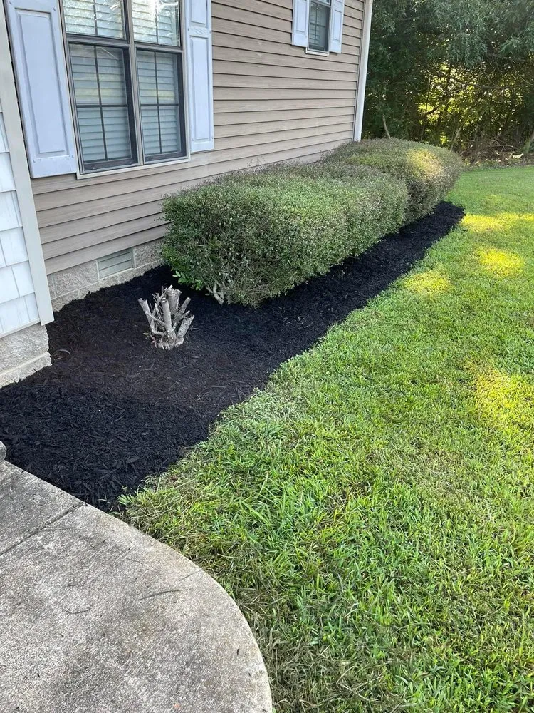 Trusted landscape installation for beautiful yards in Atlanta, GA by Cut Care Lawn and Tree Service