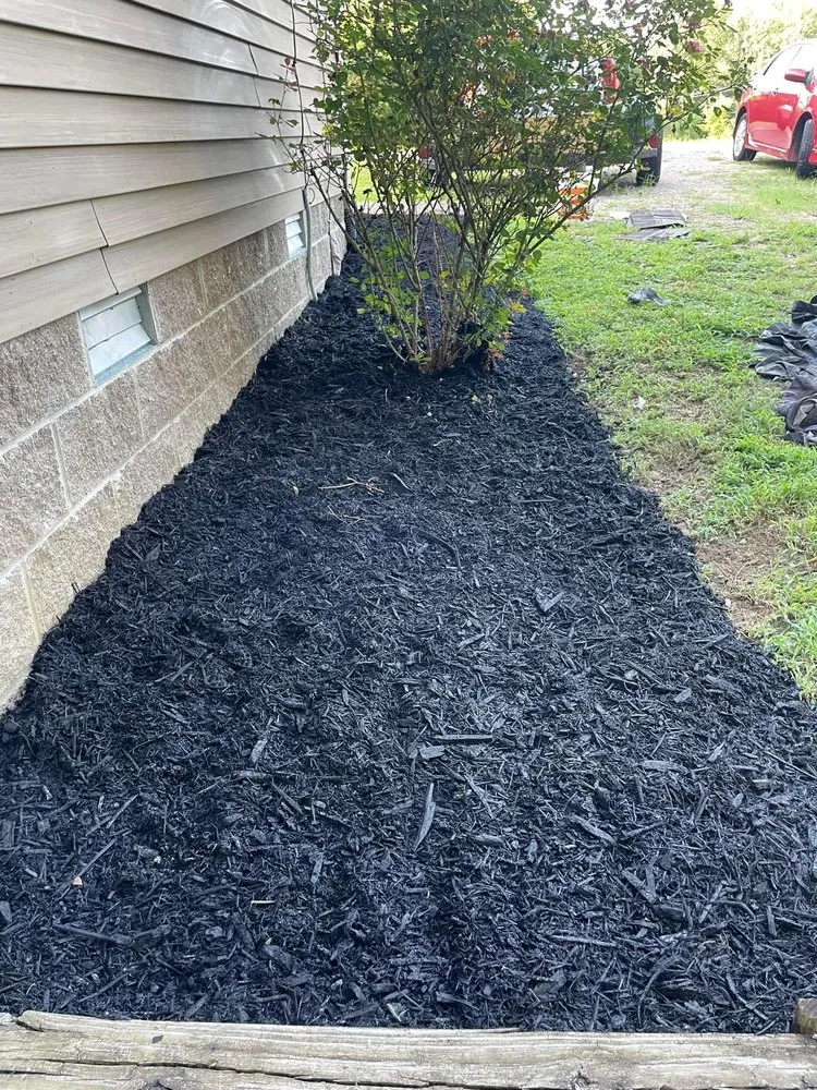 Trusted yard cleanup service for residential properties in Atlanta, GA by Cut Care Lawn and Tree Service