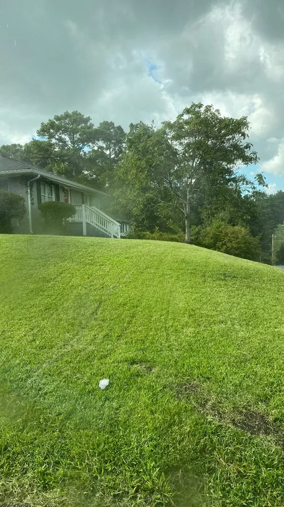 Local outdoor landscaping experts serving Atlanta, GA - Cut Care Lawn and Tree Service