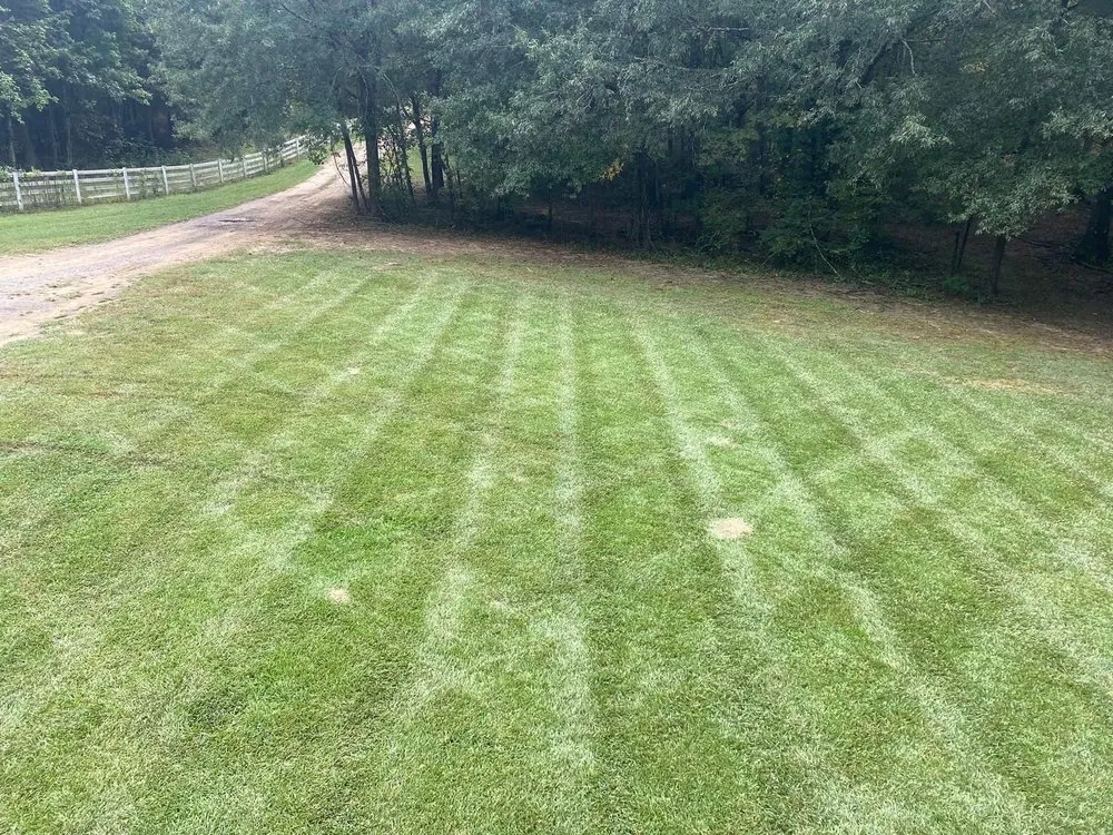 Professional landscape design for homes in Atlanta, GA by Cut Care Lawn and Tree Service