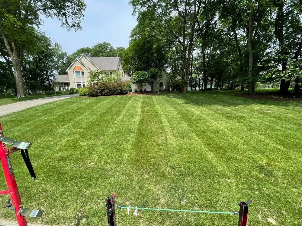 Affordable yard maintenance in Atlanta, GA by Cut Care Lawn and Tree Service