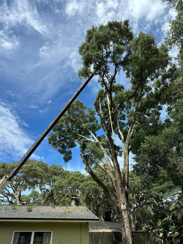 Expert garden landscaping in Atlanta, GA by Cut Care Lawn and Tree Service