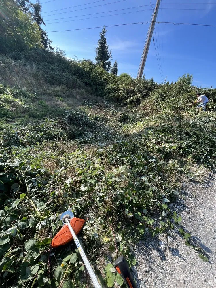 Reliable garden landscaping in Stanwood, WA - Cut Clean Go