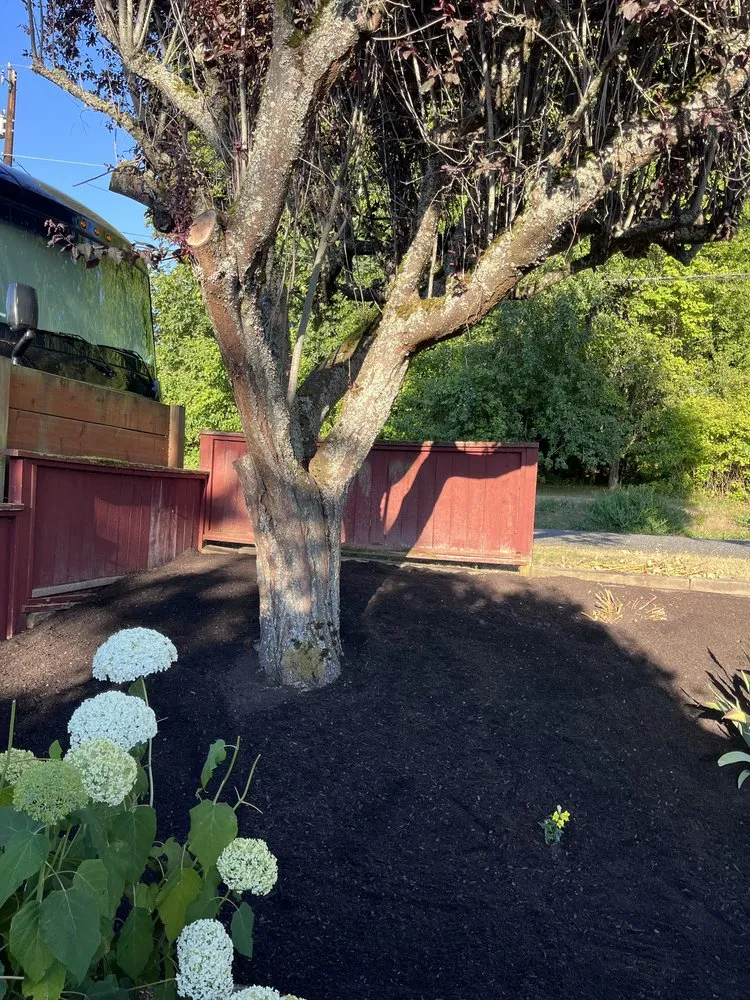 Expert landscape design in Stanwood, WA by Cut Clean Go