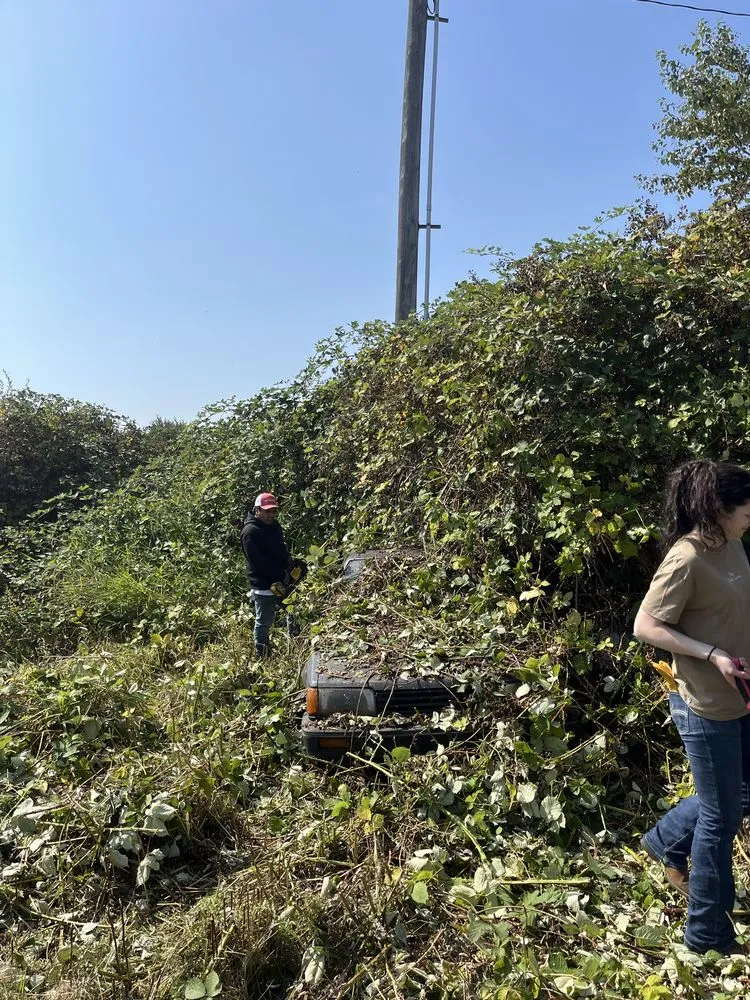 Top-rated lawn care service in Stanwood, WA - Cut Clean Go