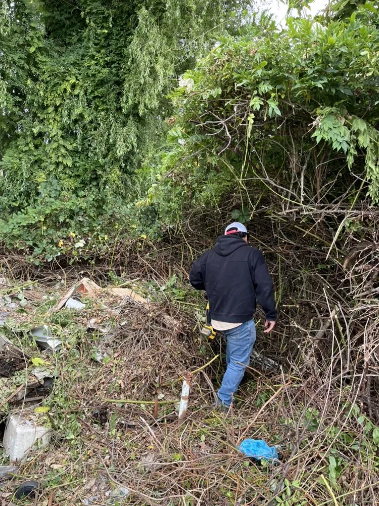 Affordable yard maintenance experts serving Stanwood, WA - Cut Clean Go