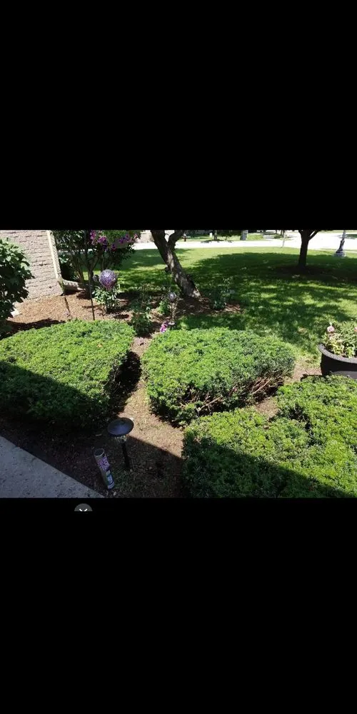 Trusted landscape installation in Milwaukee, WI - Cut Close Lawn Care and Landscaping