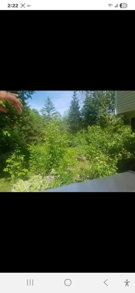 Top-rated yard cleanup service in Milwaukee, WI by Cut Close Lawn Care and Landscaping