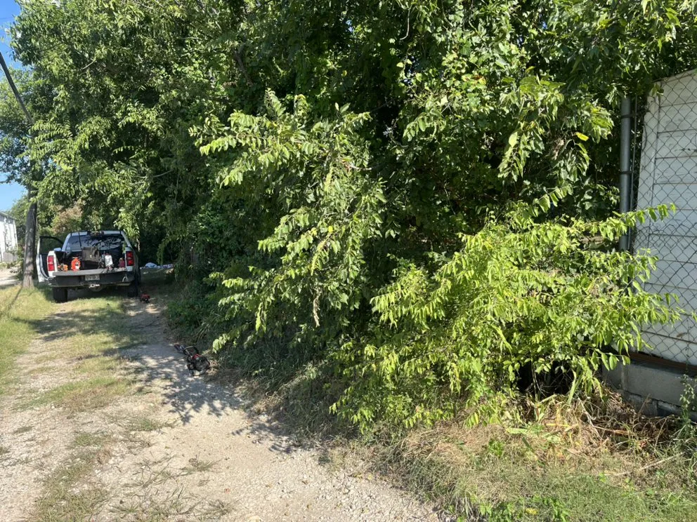 Trusted garden landscaping in Denison, TX by Cut Create Landscape