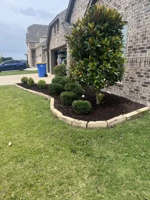 Cut Create Landscape