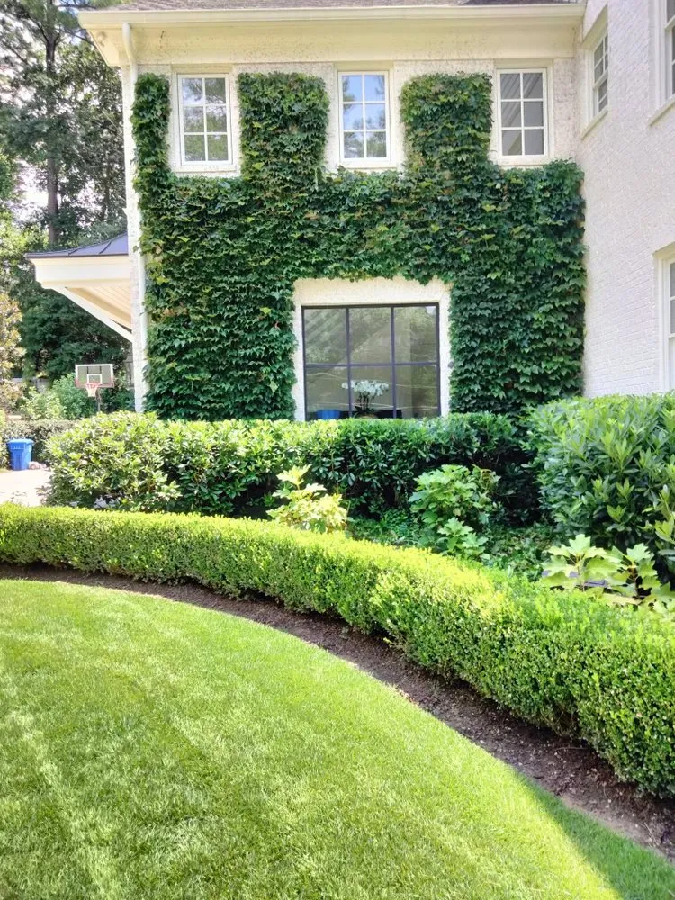 Top-rated landscape design for year-round maintenance across Atlanta, GA - Cut Different Lawn Care