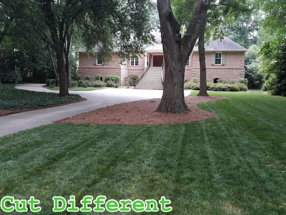 Professional residential landscaping in Atlanta, GA by Cut Different Lawn Care