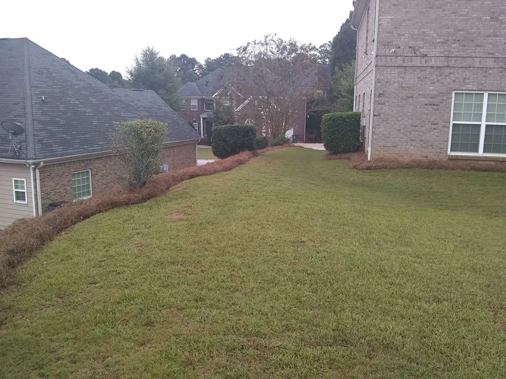 Professional landscape installation in Atlanta, GA - Cut Different Lawn Care