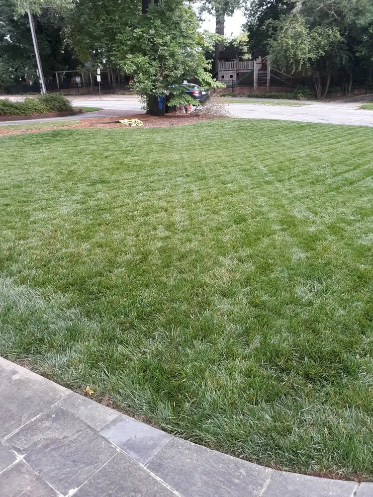 Custom lawn care service for beautiful yards across Atlanta, GA - Cut Different Lawn Care