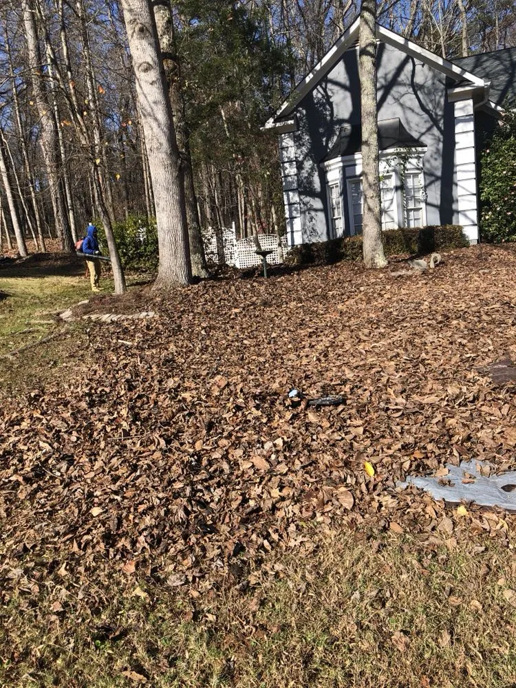 Professional landscaping services experts serving Austell, GA - Cut, Edge, & Blow