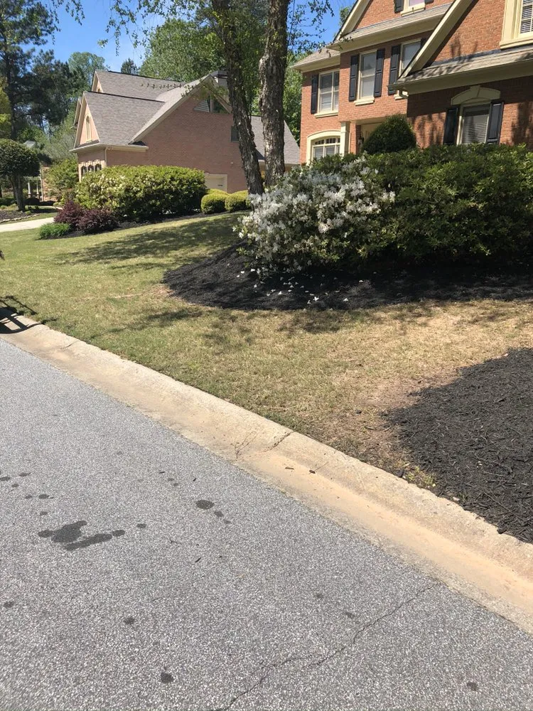 Expert yard cleanup service in Austell, GA by Cut, Edge, & Blow