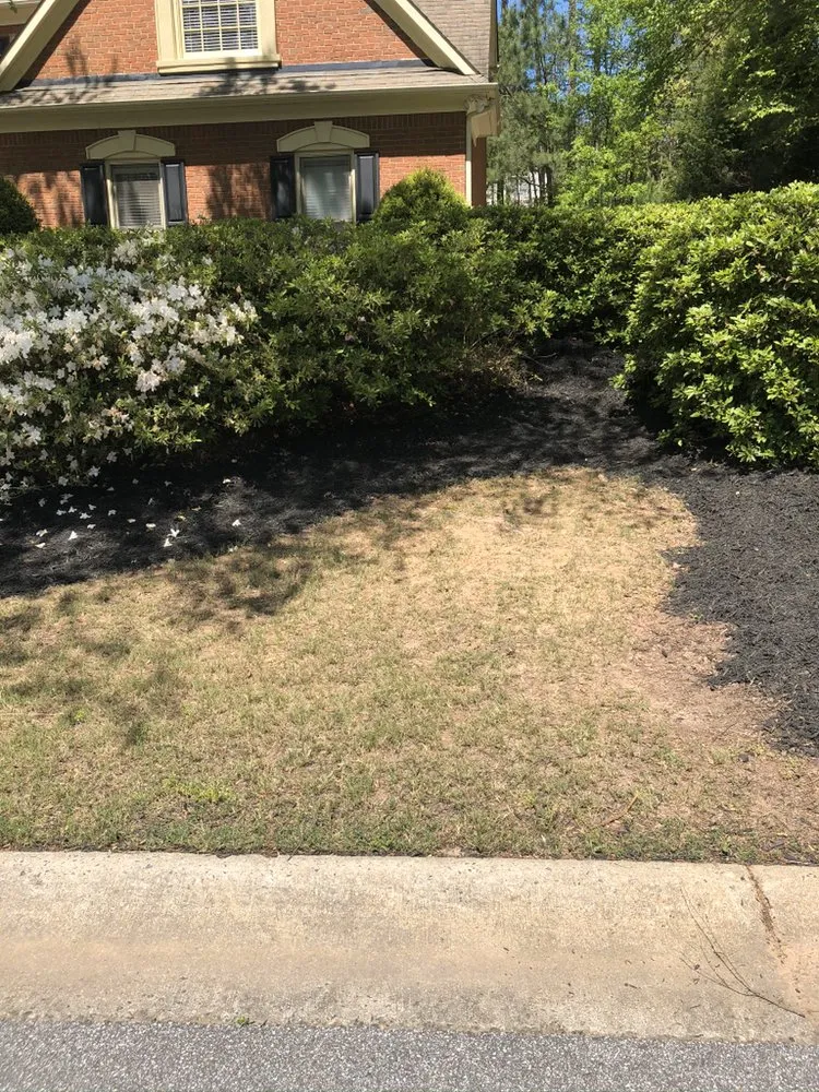 Custom yard maintenance in Austell, GA - Cut, Edge, & Blow