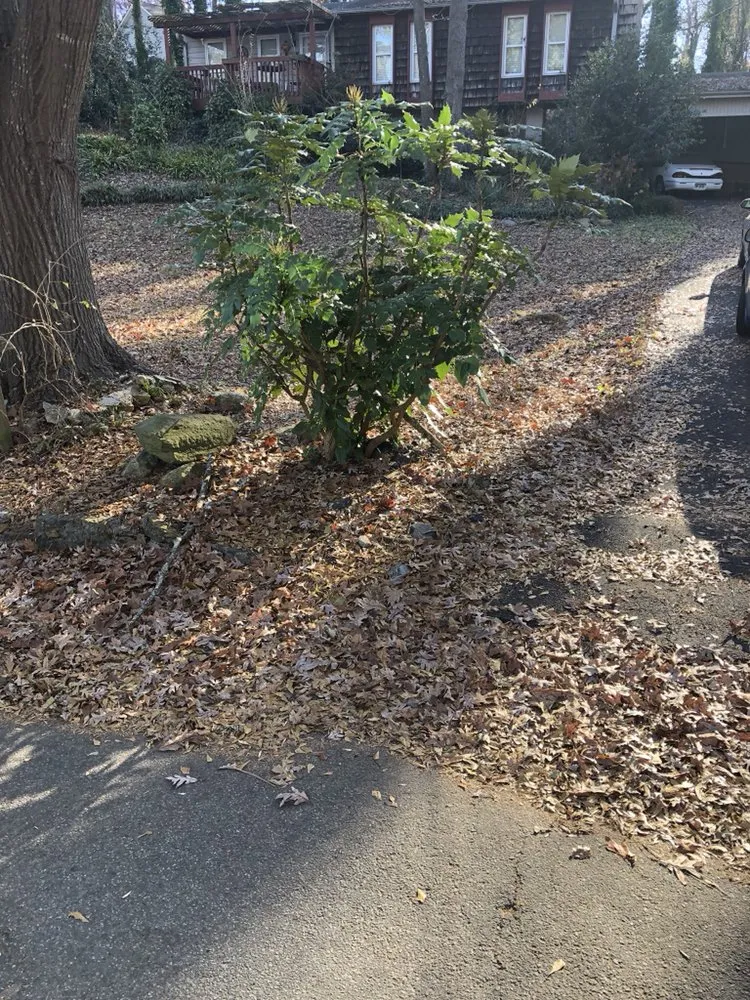 Trusted residential landscaping for year-round maintenance in Austell, GA by Cut, Edge, & Blow