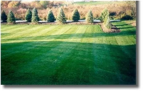 Local lawn care service near you across Austell, GA - Cut, Edge, & Blow